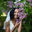 Writer: Jasmine Springs