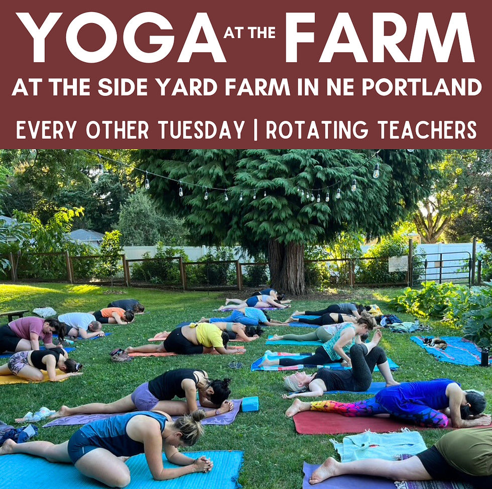 Yoga at the Farm