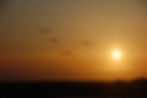 Pelican Sunset