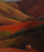 Fall Vineyard Hills