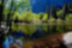 Yosemite Spring