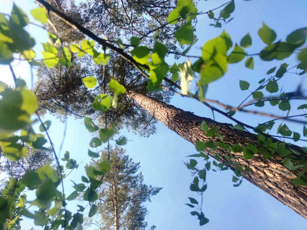 "Marsz po Zdrowie" - takie rzeczy tylko w "TRÓJCE" Bogatynia.