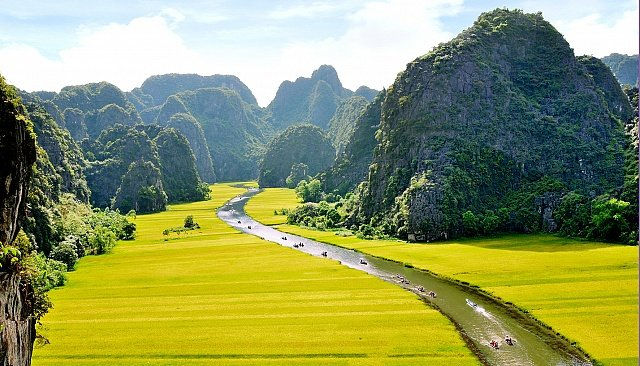 Vietnamese