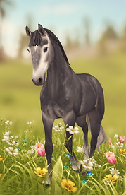 StarStable 2025-11-23 06-28-05.png