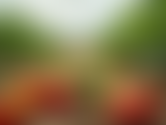 Seasonal Harvests: What's Fresh at Luckett Farms?