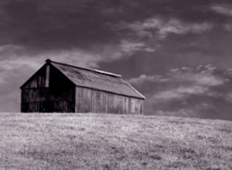 Writing Ideas Come from All Sorts of Things