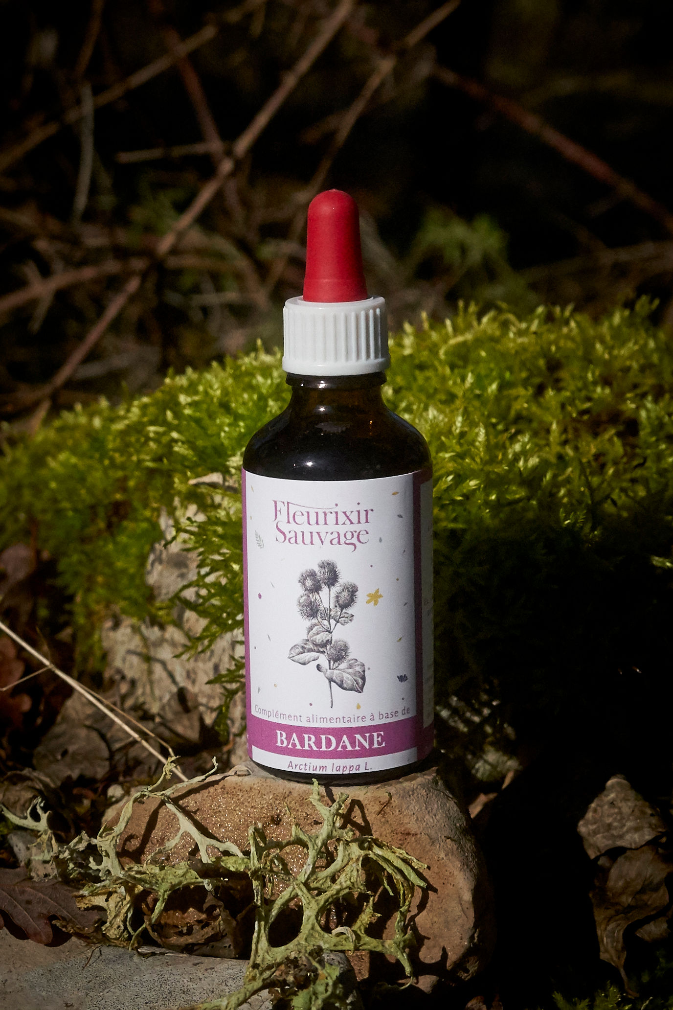Flacon alcoolature de Bardane