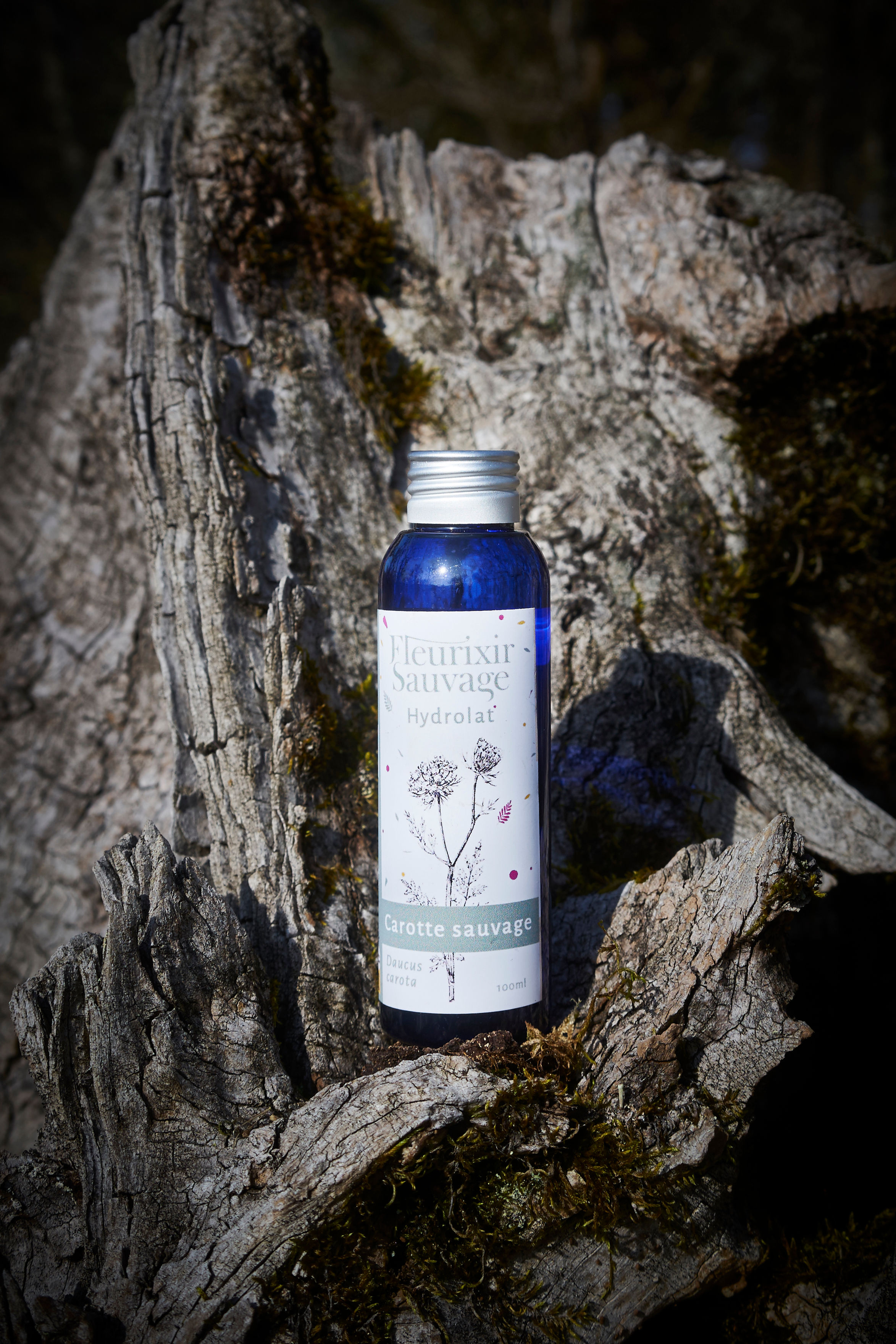 Hydrolat de carotte sauvage 100 ml - Fleurixir Sauvage - Flora Ledoux