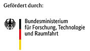 BMFTR-Logo_edited.jpg