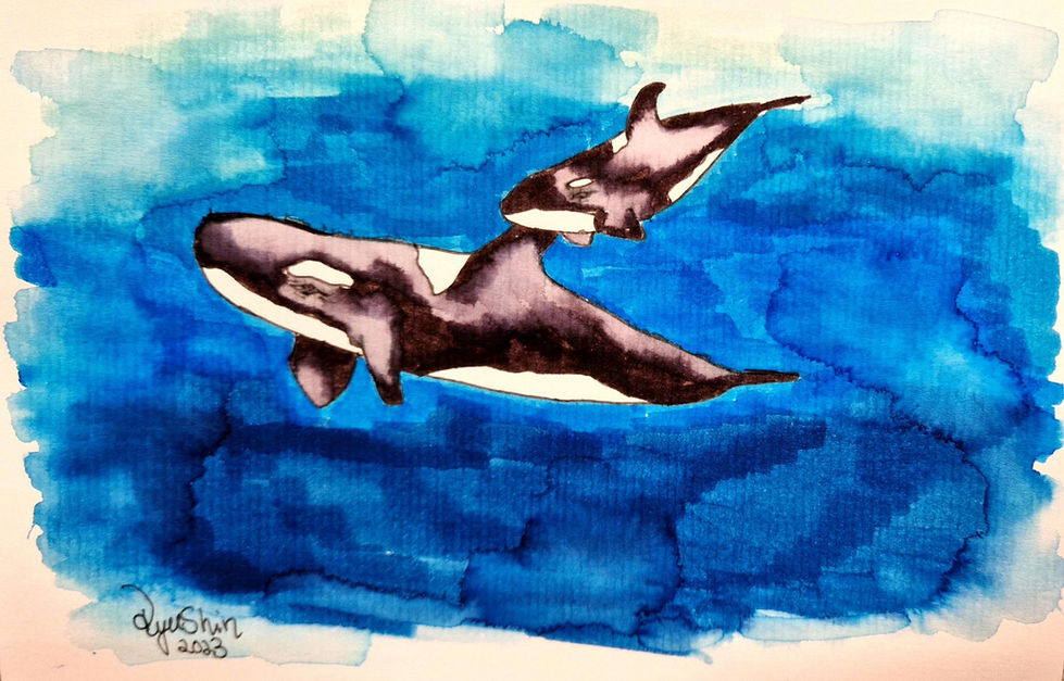 Orcas