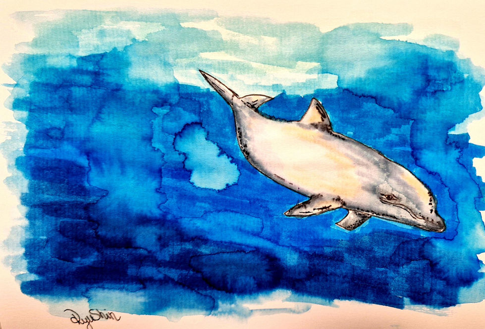Delphin