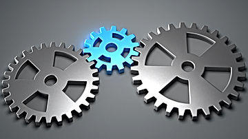 שלושת הרשויות יישתפו פעולה 
