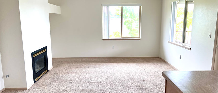 fireplace in living room of independent living condo