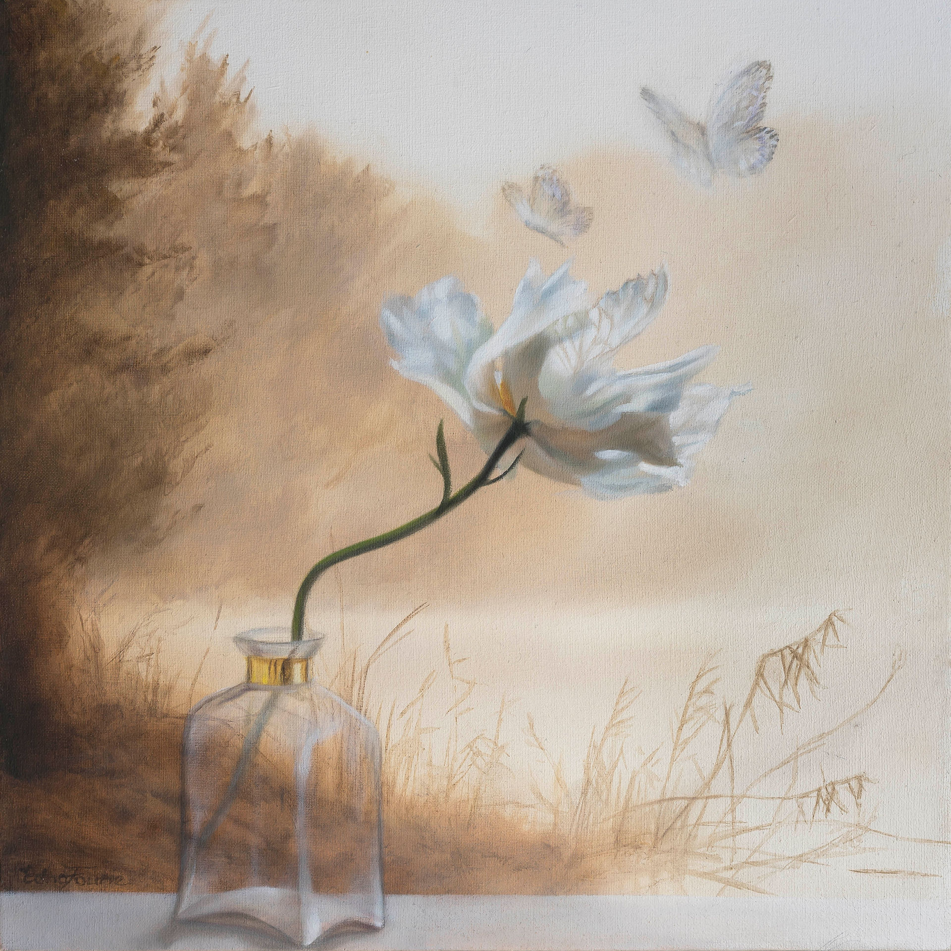 'Transforming' (Butterflies)