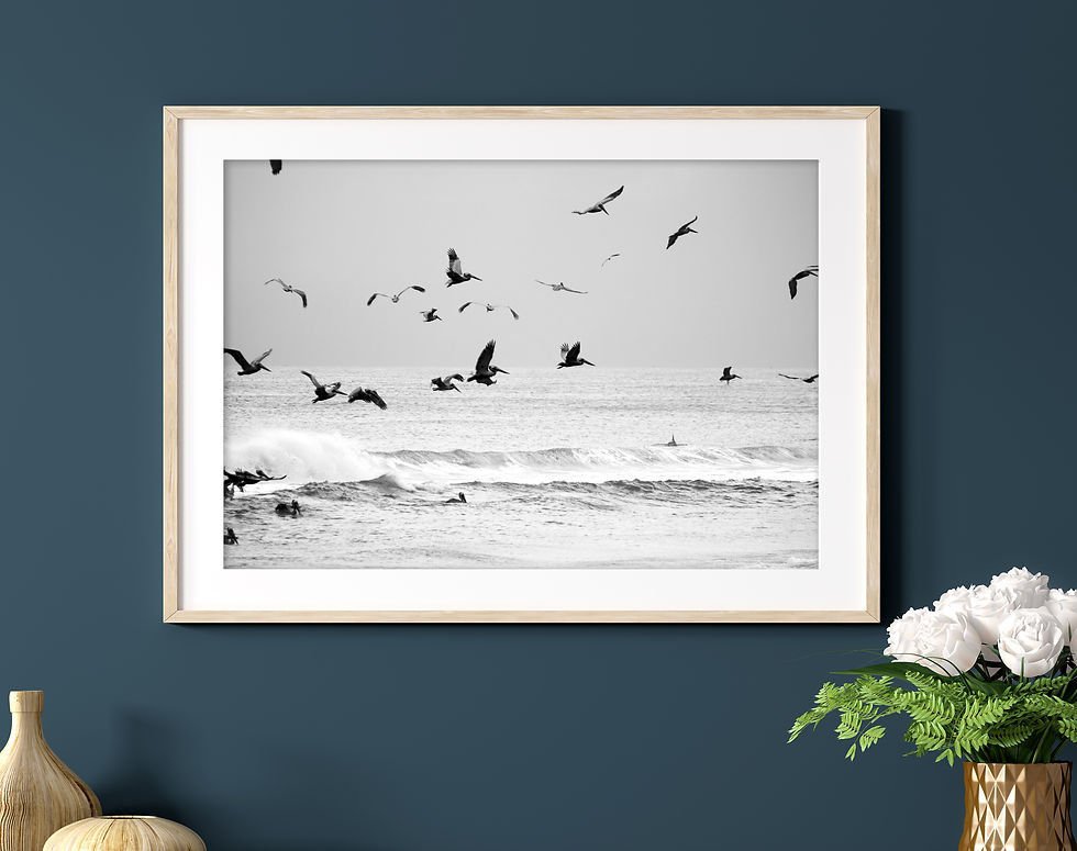 Thumbnail: Black & White Brown Pelicans Over the Ocean with a Dolphin Photography Print