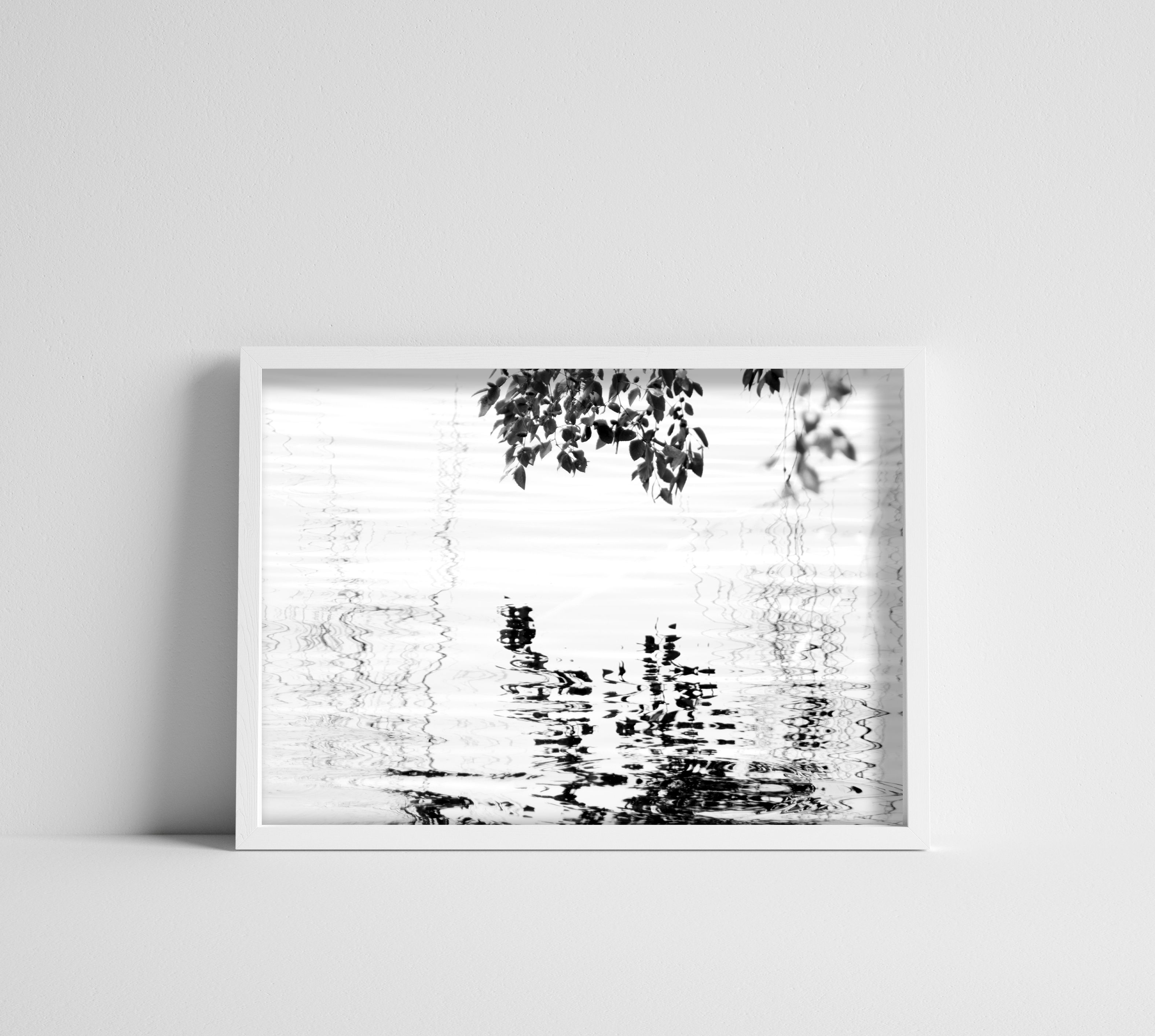 Black & White Tree Branch Reflecting in the River Water Photographic Print