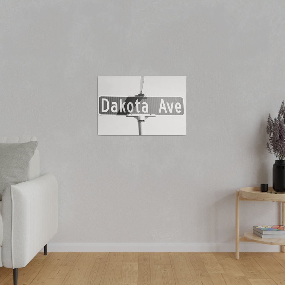 Thumbnail: Black & White Dakota Ave Matte Canvas 16x24