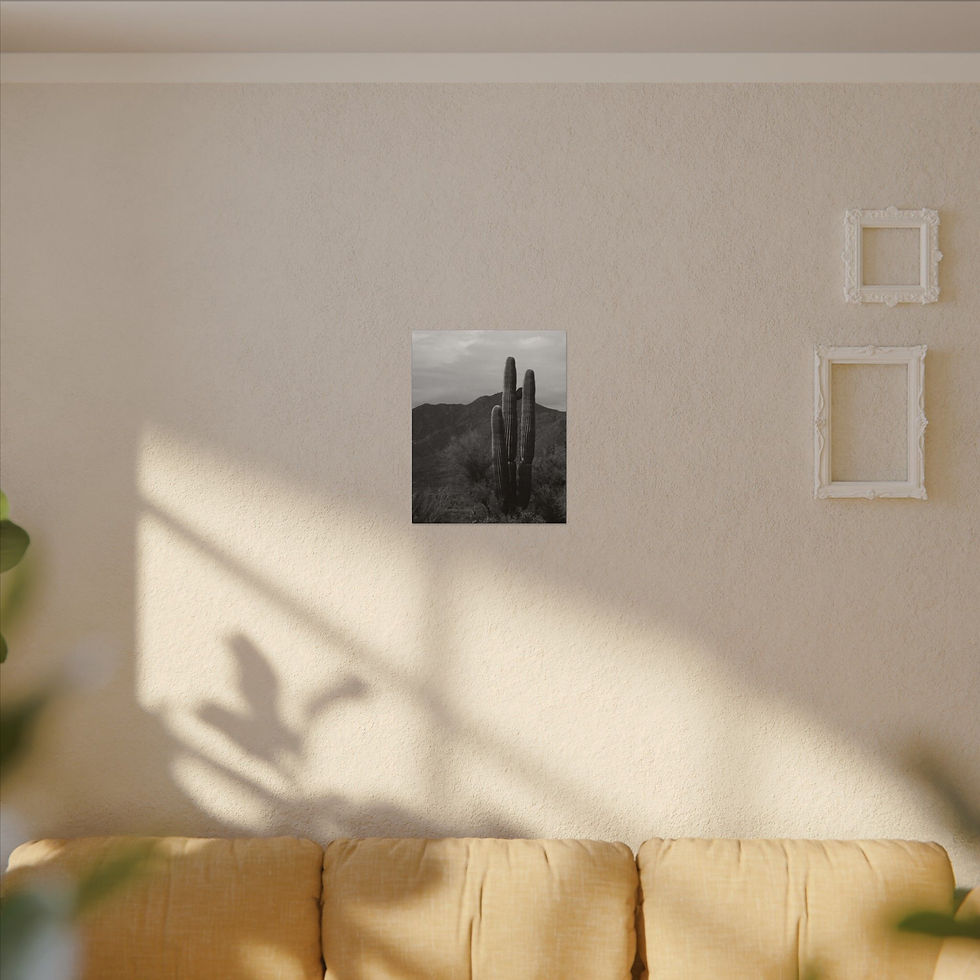 Thumbnail: Black & White Saguaro Cactus in Front of Hills  Matte Canvas Wrapped