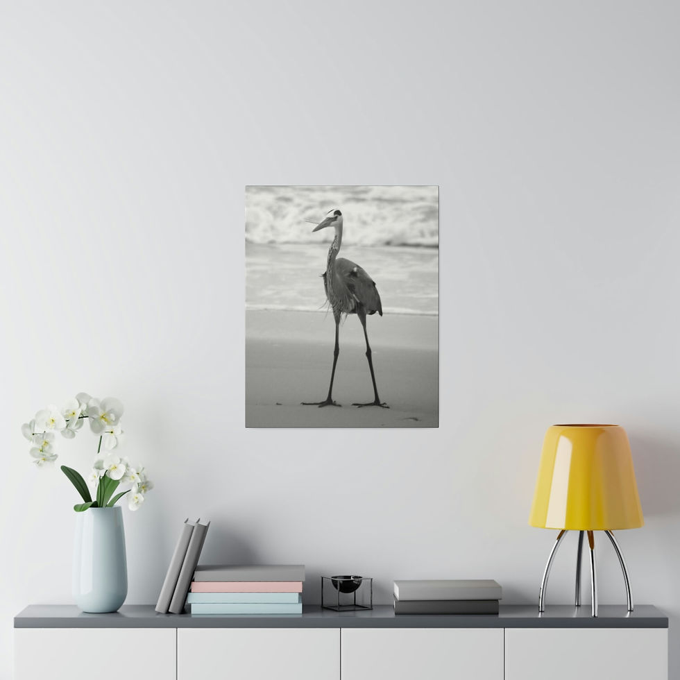 Thumbnail: Black & White Heron Standing on the Beach Vertical Matte Canvas Stretched