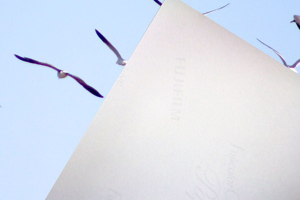 Thumbnail: Seagulls Scattered in the Sky Color Photographic Print Wall Art