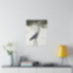 Thumbnail: Heron Standing on the Sandy Beach Color Matte Canvas Stretched