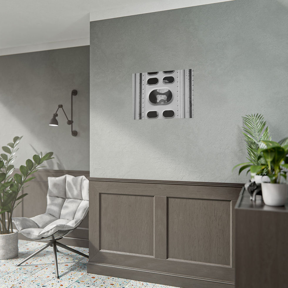 Thumbnail: Black & White Cow in a Cattle Truck Photography Poster Print