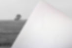Thumbnail: Black & White Midwest Cornfield Landscape Photography Print