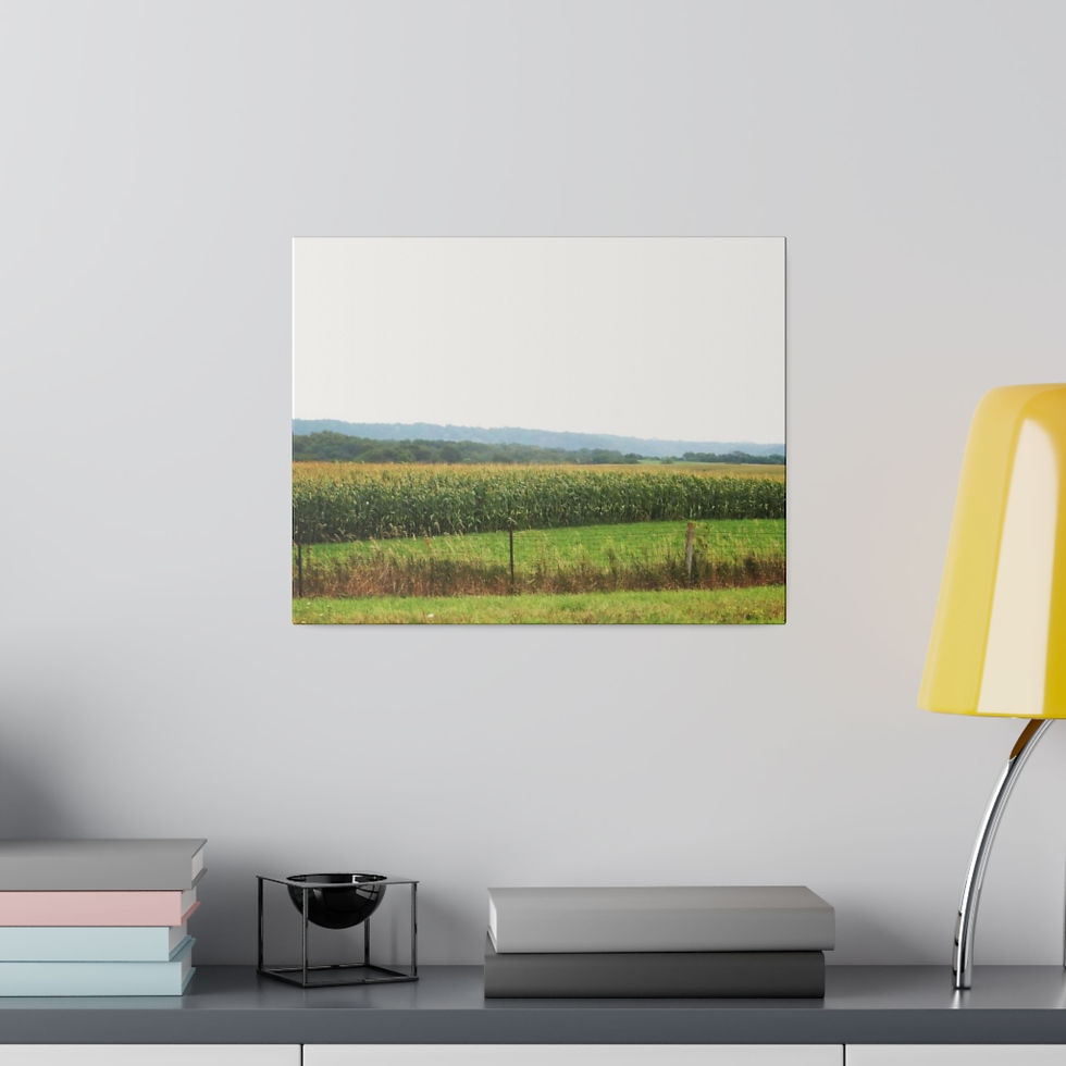 canvas prints