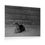 Thumbnail: Black & White Cat Laying in the Shade Photography Poster Print
