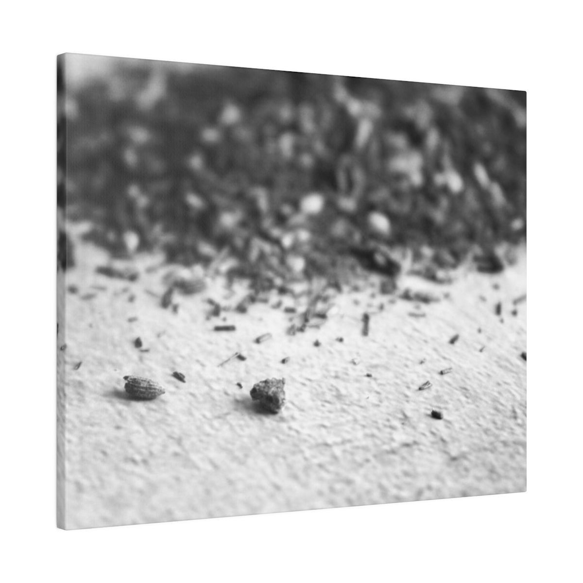 Black & White Ground Herbal Tea Spice Bits Matte Canvas Stretched