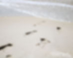 Thumbnail: Footprints on the Beach Sand Color Matte Canvas Stretched