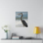 Thumbnail: Heron on the Beach Profile View Color Matte Canvas Stretched