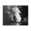 Thumbnail: Black & White Waterfall Through the Trees Matte Canvas