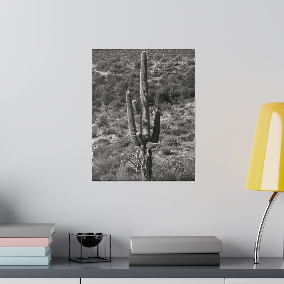 Thumbnail: Black & White Saguaro Cactus Surrounded by Sagebrush Matte Canvas