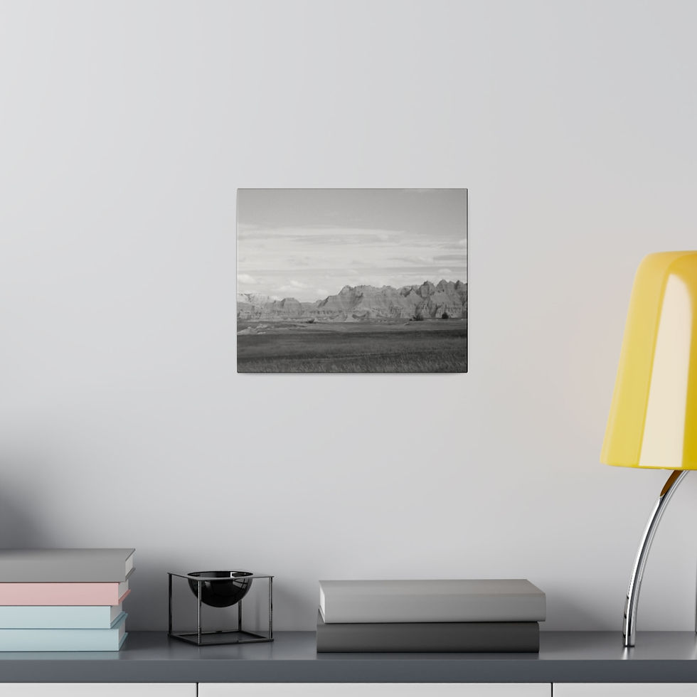 Thumbnail: Black & White Badlands Landscape Matte Canvas