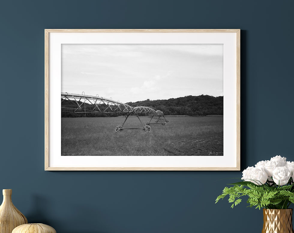 Thumbnail: Black & White Farm Irrigation Sprinkler In a Rural Midwest Farm Photography Prin
