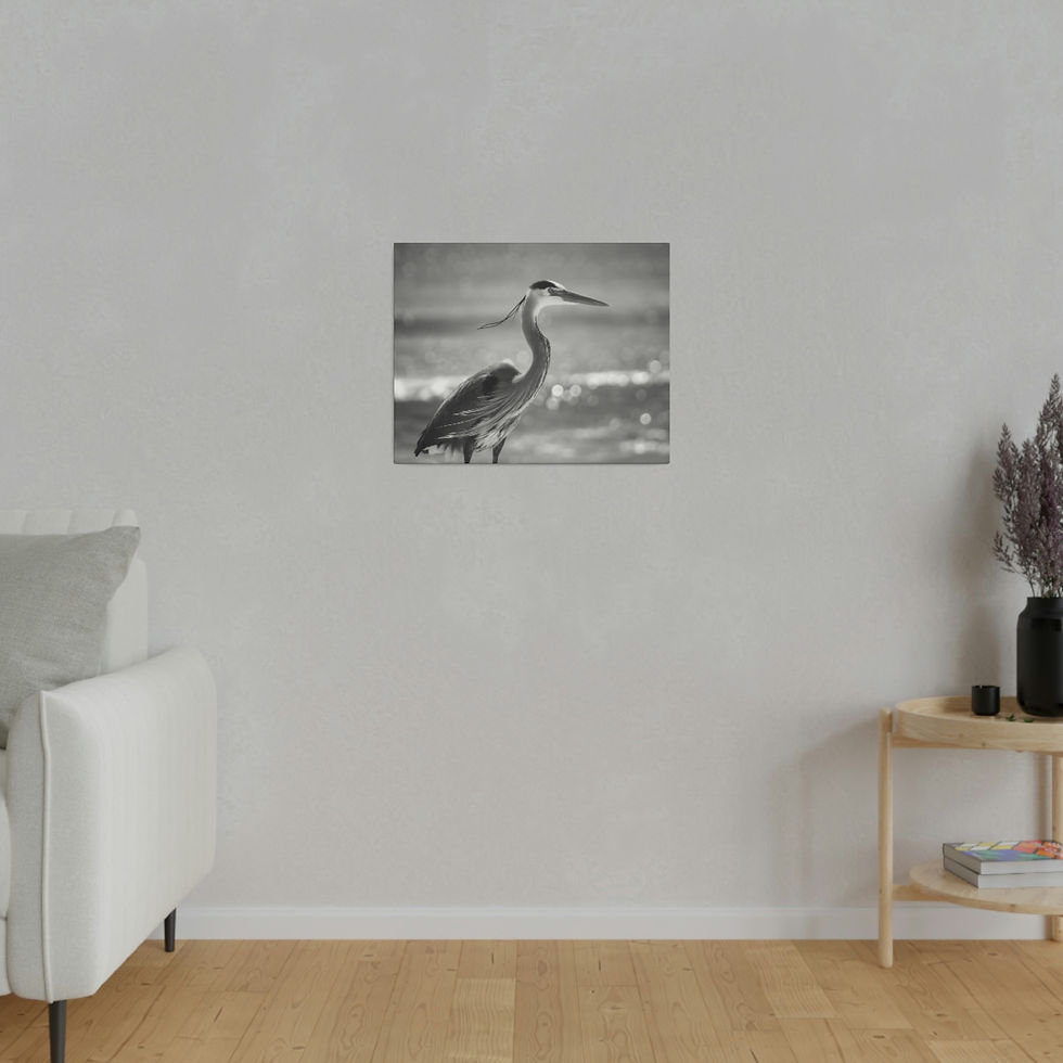 Thumbnail: Black & White Heron in Front of Ocean Waves Close-Up Matte Canvas Stretched