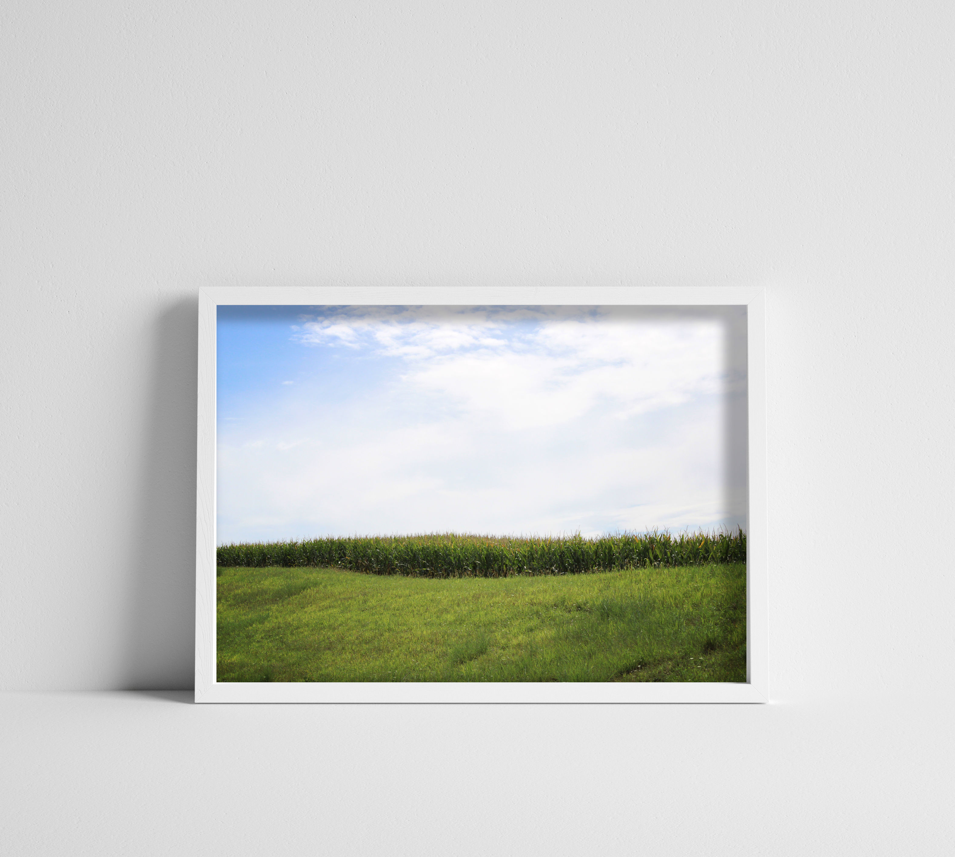 Edge of a Cornfield Under a Blue Cloudy Sky Color Photography Print Wall Art