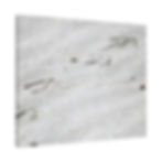 Thumbnail: Heron Footprints in the Sand Color Matte Canvas Stretched