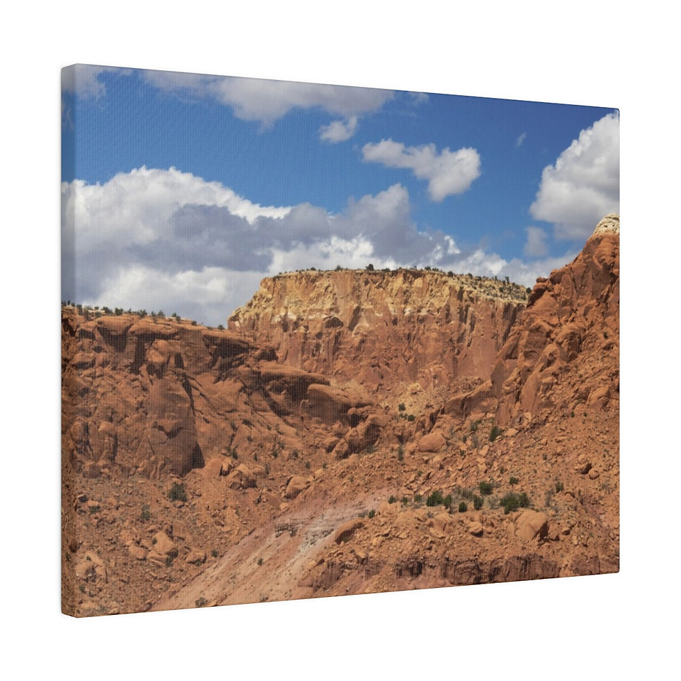 Thumbnail: Red Rocks in the Mountains of New Mexico Color Matte Canvas