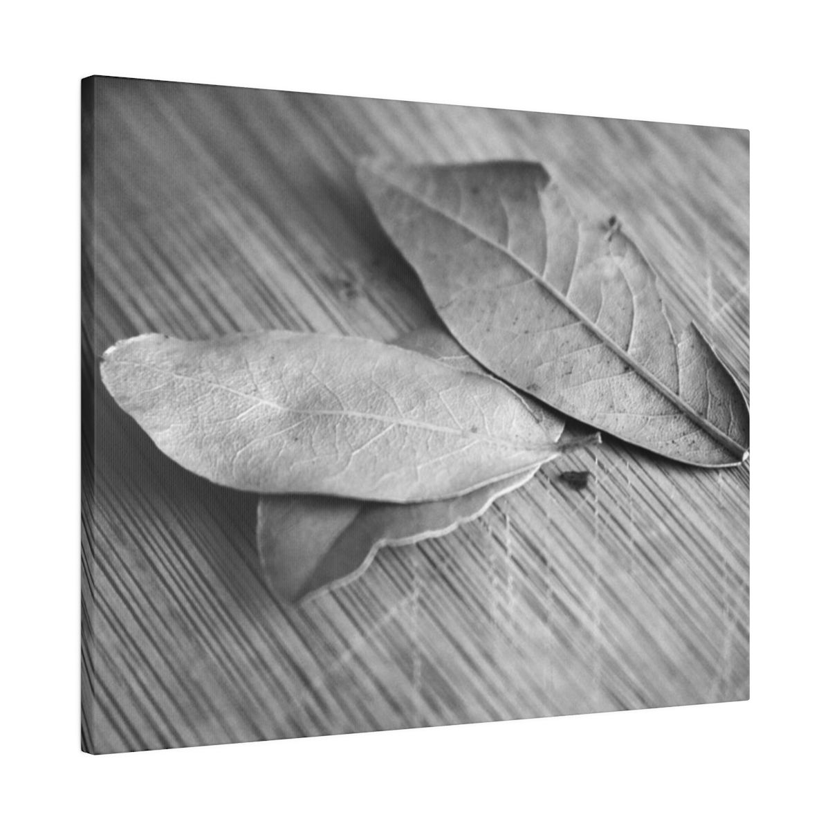 Black & White Bay Leaves on an Old Cutting Board Matte Canvas Stretched