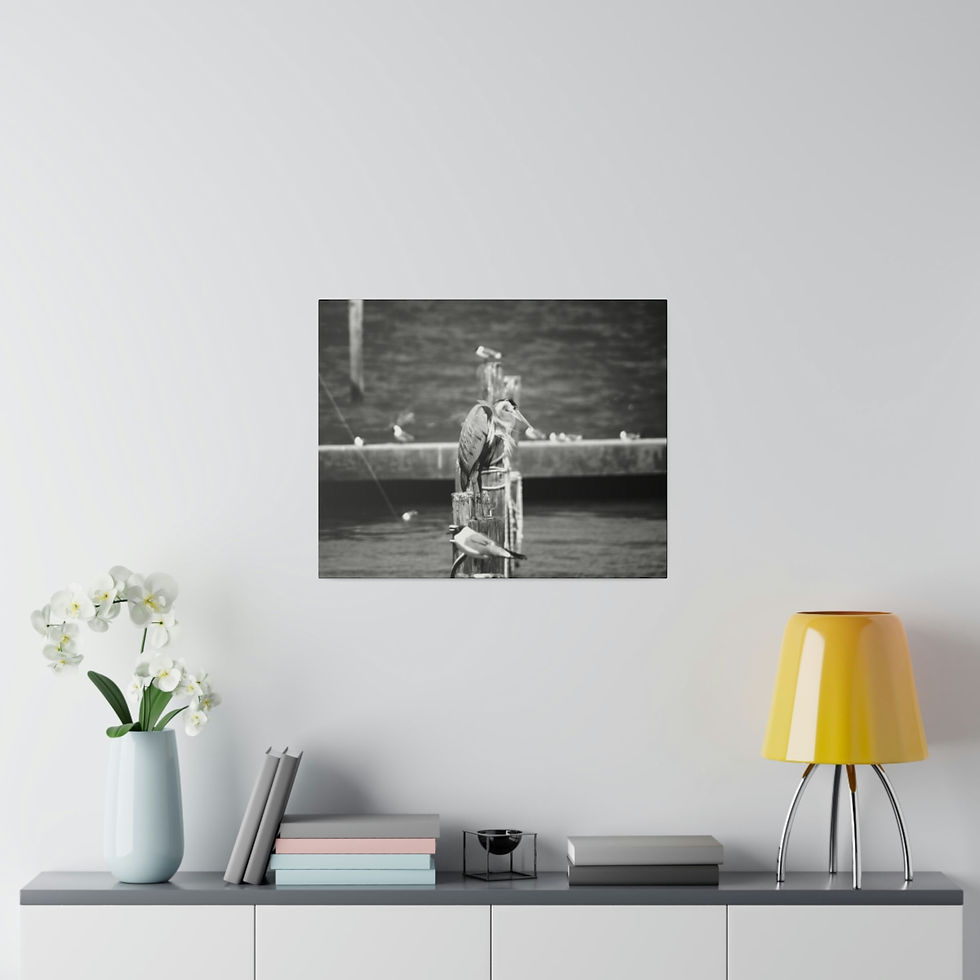 Thumbnail: Black & White Heron on a Post at the Marina Matte Canvas Stretched