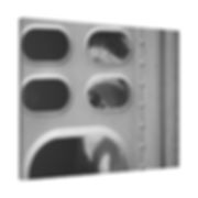 Black & White Cow Looking Through a Cattle Truck Wall Matte Canvas Stretched