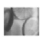 Thumbnail: Black & White Glass Pitcher of Lemon Lime Ice Water Matte Canvas Stretched