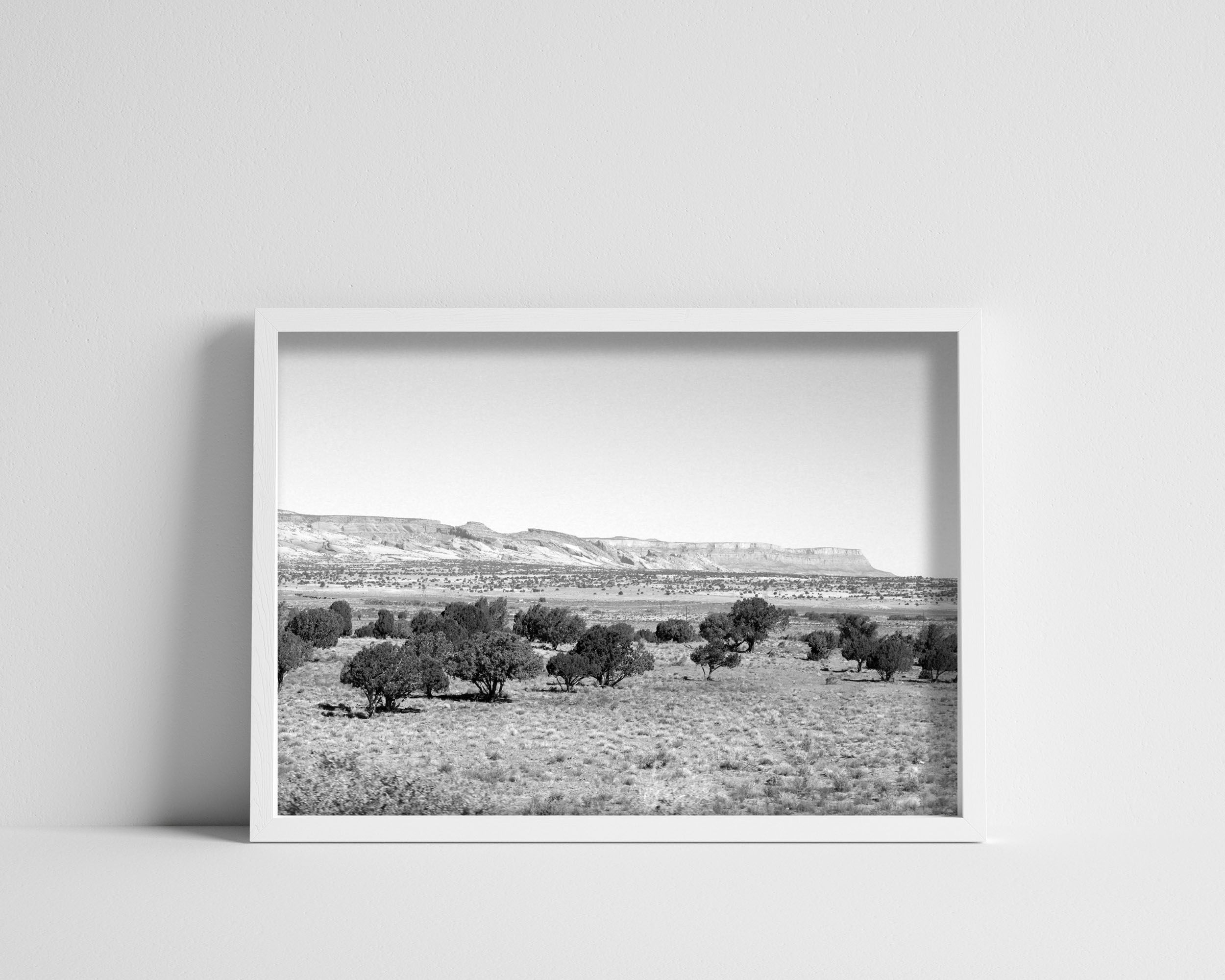 Black & White Utah Desert Landscape with Trees Photography Print