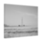 Thumbnail: Black & White Cows Grazing Around a Windmill Matte Canvas Stretched