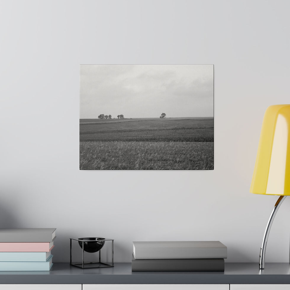 Thumbnail: Black & White Midwest Cornfield Landscape Matte Canvas Stretched Framed
