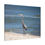 Thumbnail: Heron on the Beach Looking  Away Side View Color Matte Canvas Stretched