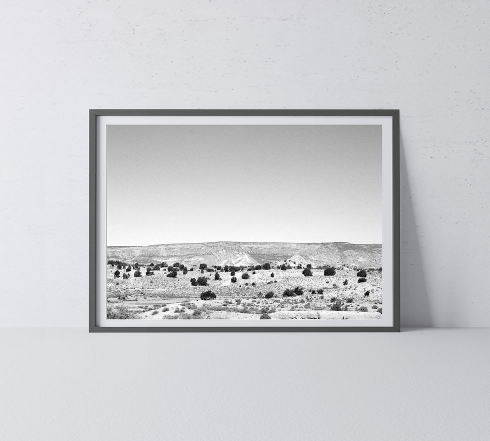Thumbnail: Black & White Desert Landscape in Utah Photography Print
