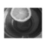 Thumbnail: Black & White Lemon Slice Floating in a Cup of Tea Matte Canvas